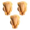 Corn Fed Poussins From Urban Merchants, Fresh, Tender And Juicy Chicken, Pack of 3 view 1