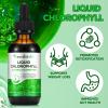 Liquid Chlorophyll Drops, 60ML Natural Chlorophyll for Internal Detox & Cleanes, Energy Booster, Digestion Supports Mint Flavour view 2