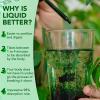 Liquid Chlorophyll Drops, 60ML Natural Chlorophyll for Internal Detox & Cleanes, Energy Booster, Digestion Supports Mint Flavour view 3