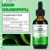 Liquid Chlorophyll Drops, 60ML Natural Chlorophyll for Internal Detox & Cleanes, Energy Booster, Digestion Supports Mint Flavour view 4