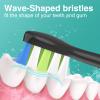 Trustnice Toothbrush Heads Compatible with Philips Sonicare Toothbrush, Replacement Brush Heads for EasyClean, Gum Health, HealthyWhite Brush Snap-On Handles, 8 Pack view 4