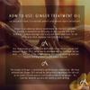 Absolute Aromas | Ginger Hair & Body Treatment Oil - with Pure Ginger CO2, Castor, Sunflower & Almond Oil, 100ml view 2