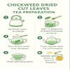 Chickweed Dried Leaves & Stems Starweed Loose Herb - Stellaria Media L. (350g) view 3