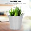 10PCS Small Metal Buckets Tin Bucket Containers Decorative Buckets with Handle Flower Pot for Party Wedding Decorations Easter 4 * 5.5 * 6in (4 * 5.5 * 6 inch) view 3