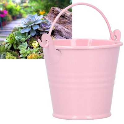 10PCS Small Metal Buckets Tin Bucket Containers Decorative Buckets with Handle Flower Pot for Party Wedding Decorations Easter 4 * 5.5 * 6in (4 * 5.5 * 6 inch)