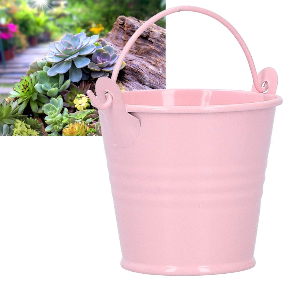 10PCS Small Metal Buckets Tin Bucket Containers Decorative Buckets with Handle Flower Pot for Party Wedding Decorations Easter 4 * 5.5 * 6in (4 * 5.5 * 6 inch)