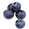 Fresh Blueberries-6x125g view 1