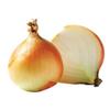 Brown Cooking Onions 1x10kg view 1