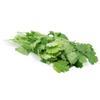 Fresh Coriander-1x20 Bunches view 1