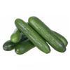 Mini Cucumbers (Gherkin Size) 1x1kg view 1