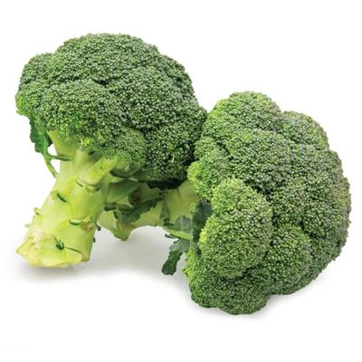 Fresh Broccoli-1x(8-10)