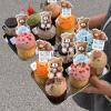 30 Pack Baby Shower Bear Cupcake Toppers Selection Baby Bear Theme Baby Shower Decorative Supplies Jungle Animal Theme Baby Shower Birthday Party Cake Decorative Supplies view 4