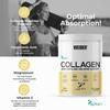 Weider Collagen (300g) Vanilla Flavour. Hydrolysed Collagen Peptides Powder Type I 100% Peptan with Hyaluronic Acid, Magnesium, Vitamin C, Sugar-Free, for Skin, Cartilage, Bones and Hair view 3