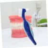 Anneome Denture Cleaning Brush and Retainer Brush 2pcs Double-Sided Small Toothbrushes for False Teeth and Braces Oral Care, Portable Cleaning Tools for Seniors (red and Blue view 3