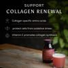 Ancient + Brave - Radiant Collagyn for Beauty 200 Grams - Vegan Collagen Powder with Chicory Root - Plant Based Supplement for Hair, Skin & Nails - Non-GMO, Paleo & Keto view 3