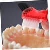 COLLBATH Brush Toothbrush 3pcs Double-Head Small Mini Portable Personal Cleaning Brushes for Household Oral Care Red Orange Green view 3