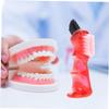 COLLBATH Brush Toothbrush 3pcs Double-Head Small Mini Portable Personal Cleaning Brushes for Household Oral Care Red Orange Green view 4