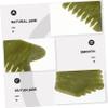 COLLBATH Jade Massage Comb for Head Massage and Body Scraping Natural Jade Comb Scalp Care and Skin Relaxation for Home Spa and Gua Sha Therapy view 4