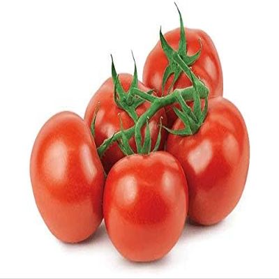 Veena's Vine Tomatoes, Fresh Vegetable, for Healthy Cooking Available with Multiple Weight Packs (500G)