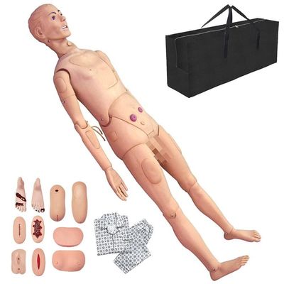 170cm Geriatric Training Manikin Mannequin with Simulation Visceral for Students Education Teaching Training Skills