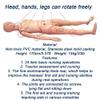 170cm Geriatric Training Manikin Mannequin with Simulation Visceral for Students Education Teaching Training Skills view 2