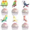18pcs Cute Parrot Theme Kids Happy Birthday Nature Birds Macaw Luau Cupcake Toppers Set - Rainforest Bird Theme Party, Baby Shower, Birthday Party Decoration Supplies for Boys and Girls - LIANGSS (1) view 1