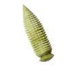 SEWOART Jade Massage Stick for Full Body Gua Sha Massage Tool Roller Stick for Fitness for Legs Neck Waist Back view 1
