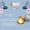 Bialetti Brigerton Royal Regency Blend Nespresso Compatible Capsules view 4