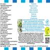 Pistachio Ice Cream Flavor Concentrate - Vegan - Sasami - 100ml view 4