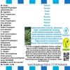 Rosemary Flavor Concentrate - Vegan - Sasami - 10ml view 4