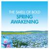 Bold 2in1 Washing Powder Spring Awakening 68 Washes 4 kg Mega Pack Laundry Powder view 2