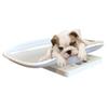 Cndiyald Pet Scale Toddler, Pet Scale, Perfect Readings for Before and After Feedings, Two in One Function Accurately Weigh Kitten, Rabbit, Puppy 22 LB Capacity No Battery view 4