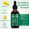 Mullein Drops, Mullein Leaf Extract Herbal Supplements Drops for Fast Absorption view 3