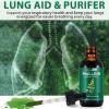 Mullein Drops, Mullein Leaf Extract Herbal Supplements Drops for Fast Absorption view 4