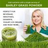 Salveo Barley Grass Powder, 100% Pure and Organic Salveo Well Organic Barley Grass Juice Powder, Boost Your Health Naturally, Excrete Body Waste in Just 2 Weeks (3) view 2