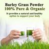 Salveo Barley Grass Powder, 100% Pure and Organic Salveo Well Organic Barley Grass Juice Powder, Boost Your Health Naturally, Excrete Body Waste in Just 2 Weeks (3) view 3
