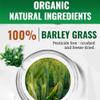 Salveo Barley Grass Powder, 100% Pure and Organic Salveo Well Organic Barley Grass Juice Powder, Boost Your Health Naturally, Excrete Body Waste in Just 2 Weeks (3) view 4