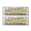 56 Pcs False Teeth Fake Teeth 2 Sets Synthetic Resin Dental Tooth, Upper Lower Denture Tooth, Party Horror Prop Makeup DIY Replacement, 23 A3 view 1