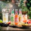 Fentimans Botanical Boost Lemon & Pink Ginger - Botanically Brewed Still Soft Drink - Enriched with Vitamins & Minerals - Gluten-Free and Vegan Friendly Soft Drinks - 12 x 250ml Bottles view 4