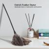 Washable and Reusable Mini Ostrich Feather Duster: Handmade Lightweight Cleaner for Book Keyboard, Office and Home view 3