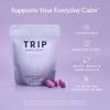 TRIP Magnesium Gummies, Wild Berry, 5,400mg Magnesium Citrate per pack, 90mg x 60 Gummies, Highly Absorbable, Electrolyte Balance, Plant-Powered, Sugar-Free & 3rd Party Tested view 2