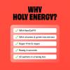 HOLY Energy Gaming Booster 10 Tasting Box Cherry Cheetah with Cherry Flavour Powder | 10 portions with NewCaff & Green Tea Extract | Focus Drink | Vegan with 100% natural fruit flavours view 4