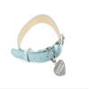 Leather BDSM collar blue Daddy's Property DDLG view 2