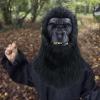 Gorilla Face Cover - Horror Cosplay Photo Props Gorilla Halloween Headwear | Scary Funny Full Masks Scary Halloween Latex Realistic Costume for Halloween Party view 2