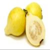 White Guava fresh from Egypt (1 Fresh White Guava) view 2