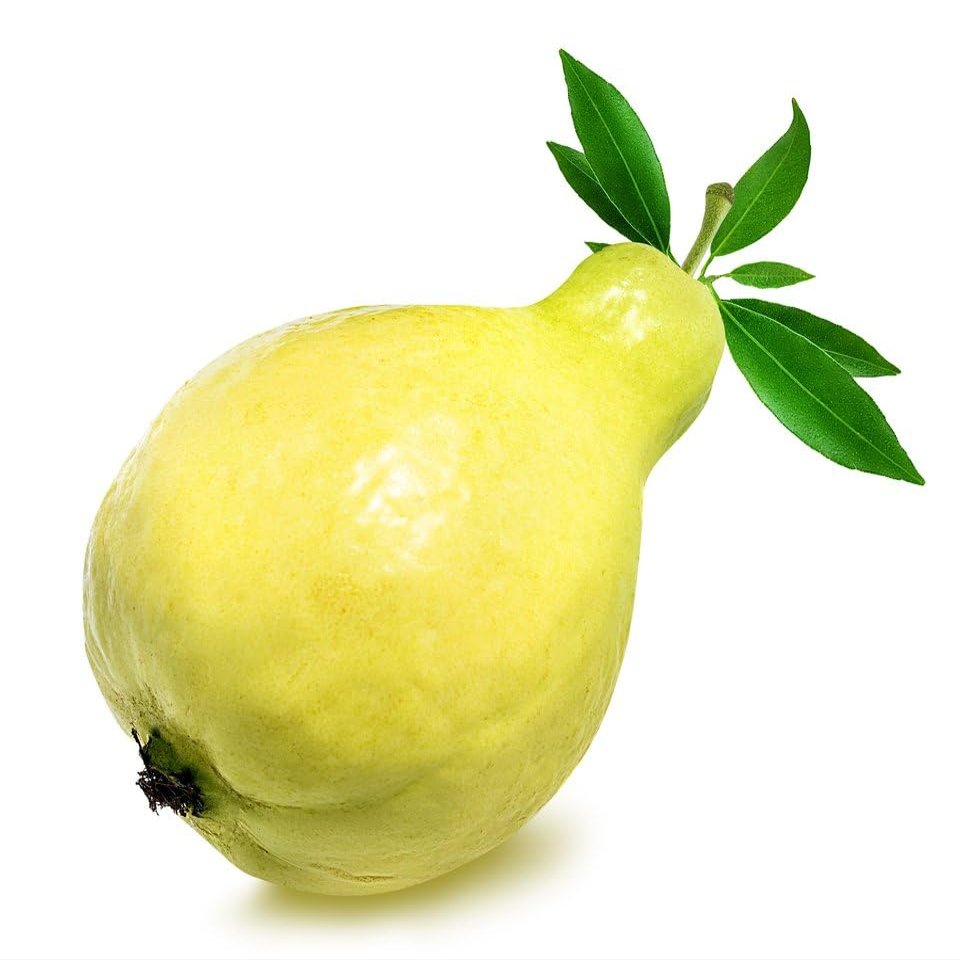 White Guava fresh from Egypt (10 Fresh White Guava)
