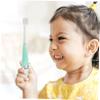 Healvian Childrens Manual Toothbrush Soft Bristles with Storage Bucket, Panda Cartoon Design, Supple Tooth Care Tool for Ages 2-12, Kids Mouth and Teeth Cleaner, Green Color for Daily view 4
