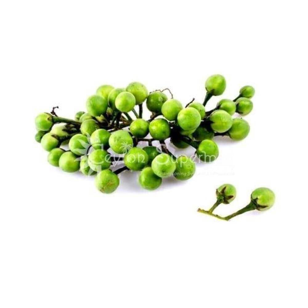 Ceylon Supermart Fresh Turkey Berry | Thithbatu, 200g
