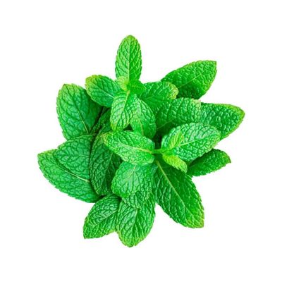 Ceylon Supermart Fresh Mint Leaf Bunch, Each