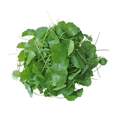 Ceylon Supermart Fresh Gotukola | Vallarai 250g